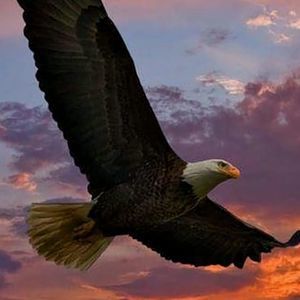 Meet your Posher, Rocio